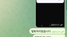 팔라딘 성향 테스트 하면서 안 맞으면 먹튀 하는 곳입니다.