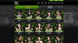 씨씨카지노 토토사이트 먹튀 기록 조회