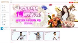 비카지노 신규 먹튀사이트 안전놀이터 체크