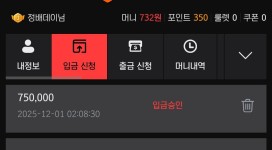 페어 돈 떨어져서 환전 버튼이 고장 났는지 전액 먹튀