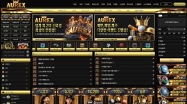 오렉스 먹튀 이력이 존재하는 놀이터