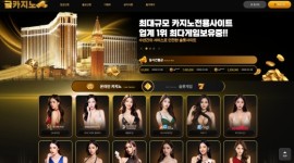 금카지노 먹튀 이력 체크 중인 토토사이트